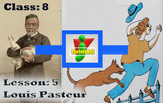 Louis Pasteur English lesson 5 class 8 Assam question and answer. NCERT solutions