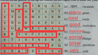 Dokchory Learns about the Panchayat class 8 Assam English Question Answer, NCERT solutions