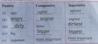 A Child's Beauty Lesson 7 English Questions , Answers , Class 7 , SCERT Assam
