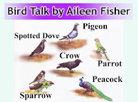 bird talk by aileen fisher, lesson 3, class 5, robin and jay, people funny