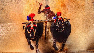  Kambala Record broken Again! Nishant Shetty faster than Srinivasa by 0.04 Seconds