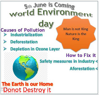 class 6, lesson 6, questions and answers