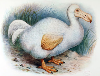 the rainbow by christina georgina rossetti questions and answers