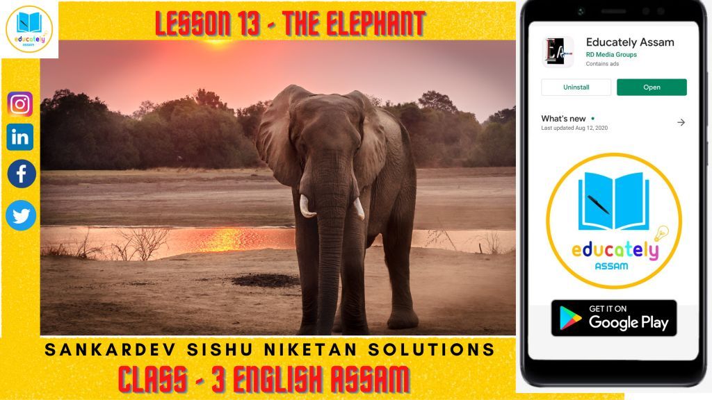 Lesson 13 | Elephant Walk  Questions Answers | Shishu Niketan solutions Assam