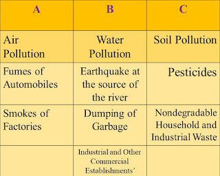 pollution question and answers, class 6, lesson 6