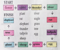 class 5, lesson 1, question no 9